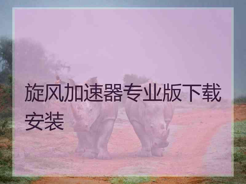 旋风加速器专业版下载安装