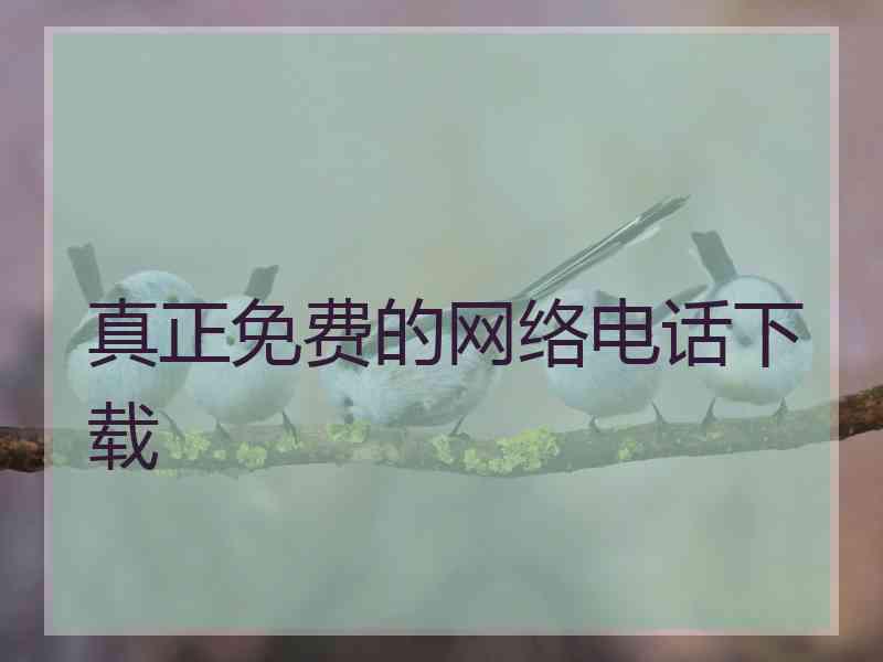 真正免费的网络电话下载