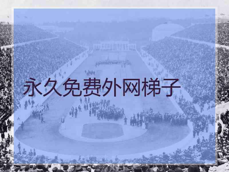 永久免费外网梯子