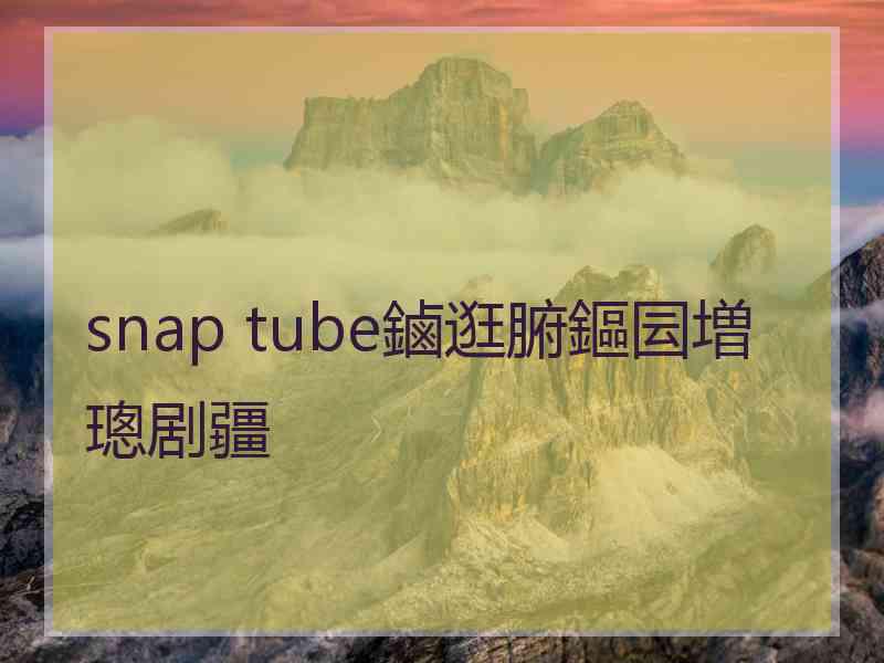 snap tube鏀逛腑鏂囩増璁剧疆