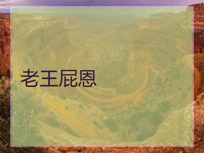 老王屁恩