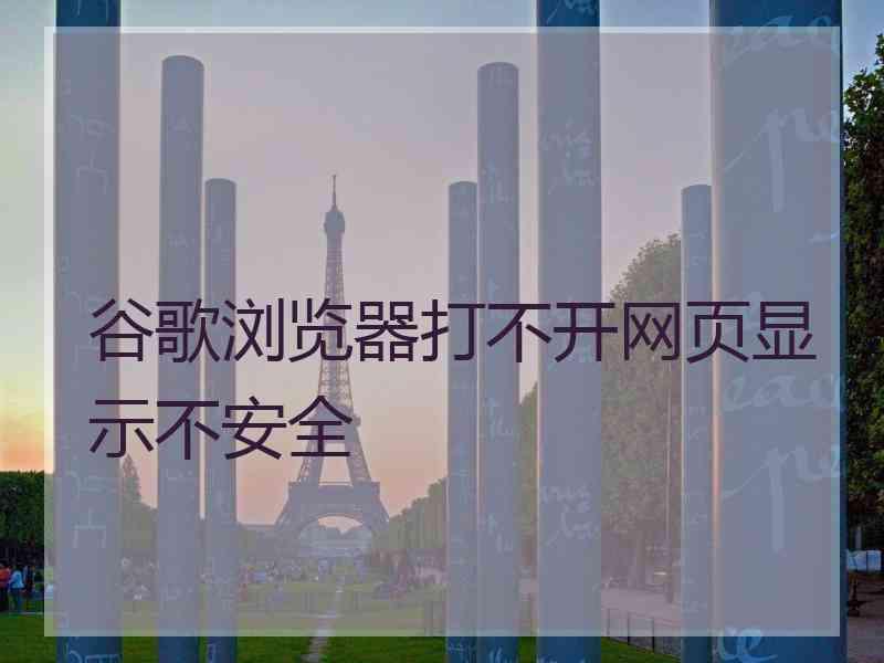 谷歌浏览器打不开网页显示不安全