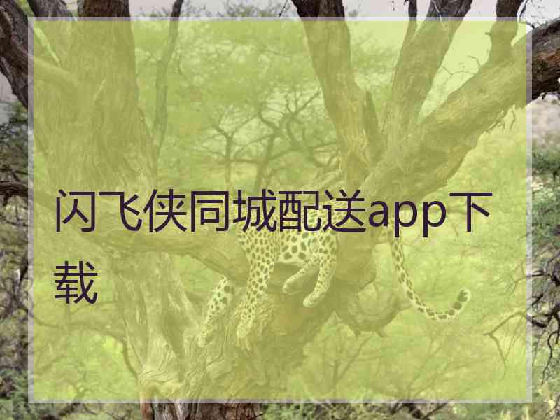 闪飞侠同城配送app下载