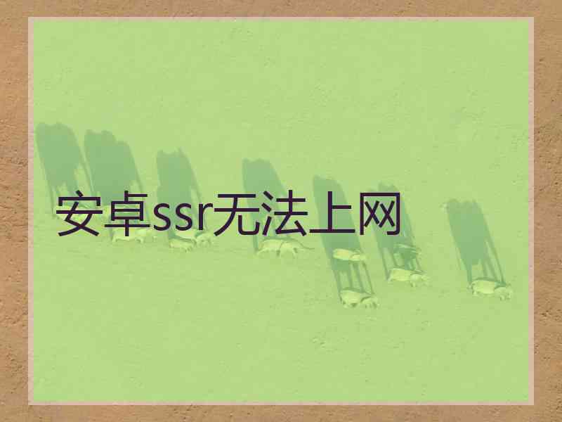 安卓ssr无法上网
