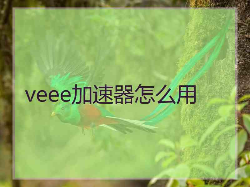 veee加速器怎么用