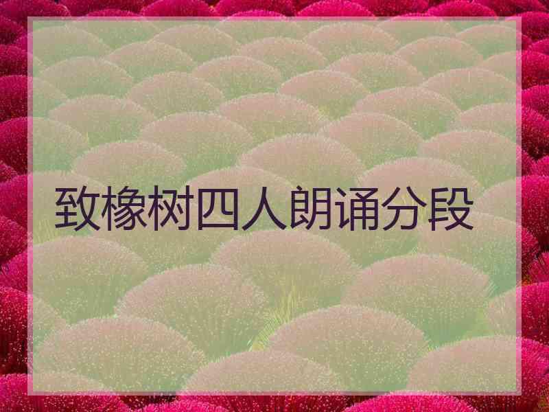 致橡树四人朗诵分段