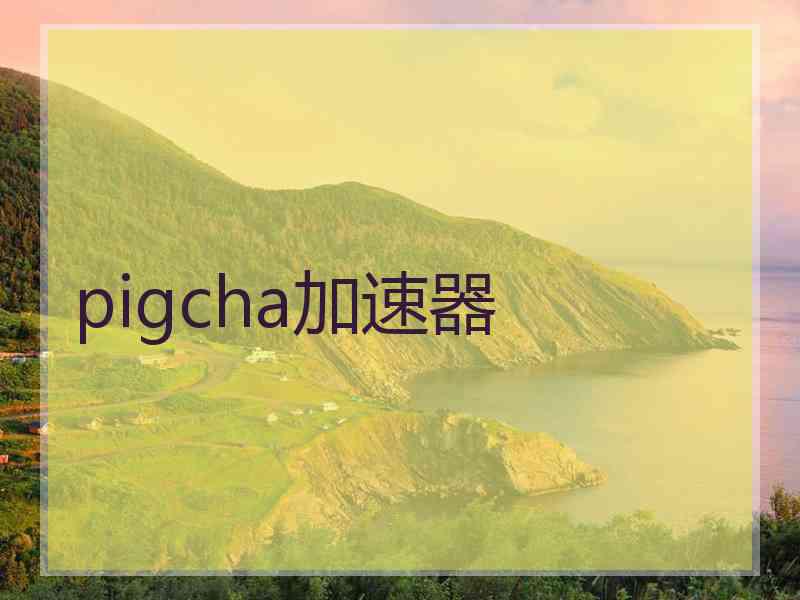 pigcha加速器