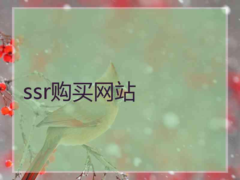 ssr购买网站